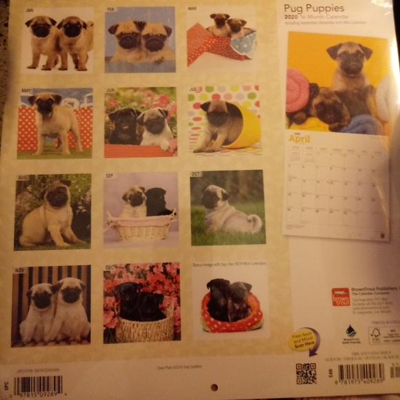 2020 PUG PUPPIES CALENDAR - Picture 3 of 4
